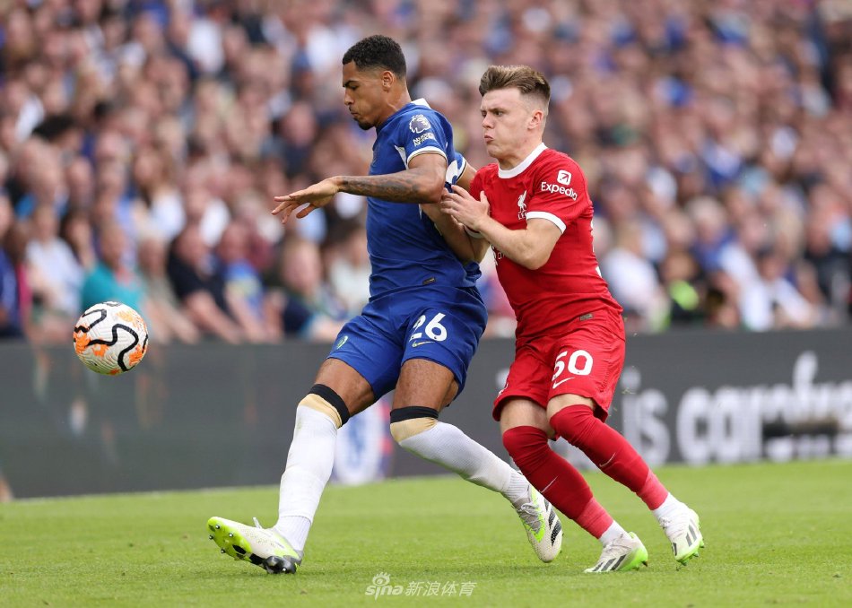 这不仅是对 这不仅是对