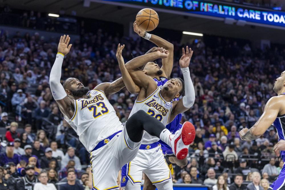 景与多样性 景与多样性